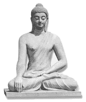 Budha