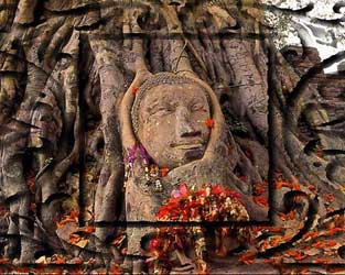 buddha